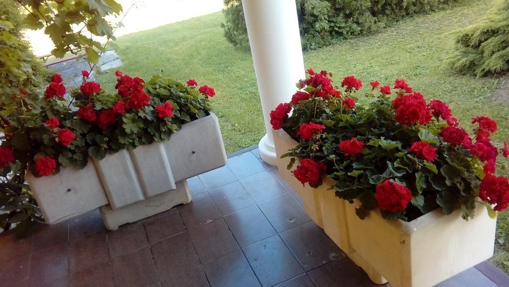Julia Vendeghaz Apartment Sárospatak Екстериор снимка